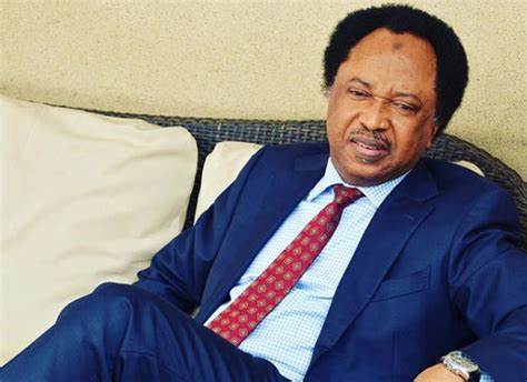 Any attempt to unseat Tinubu in 2027 can destroy Nigeria’s unity — Shehu Sani