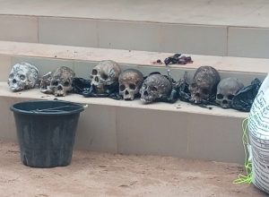 Police arrest suspected ritualist with eight human skulls in Ondo