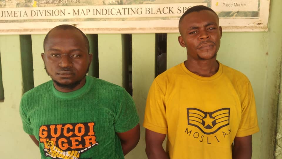 Suspected kidnappers apprehended in Adamawa
